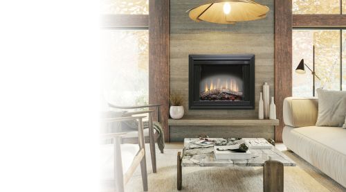 Dimplex Deluxe Built-In Electric Firebox - view 2